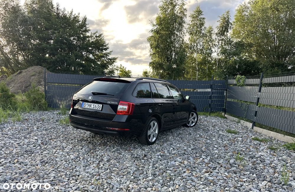 Skoda Octavia 2.0 TDI Sport Edition - 24