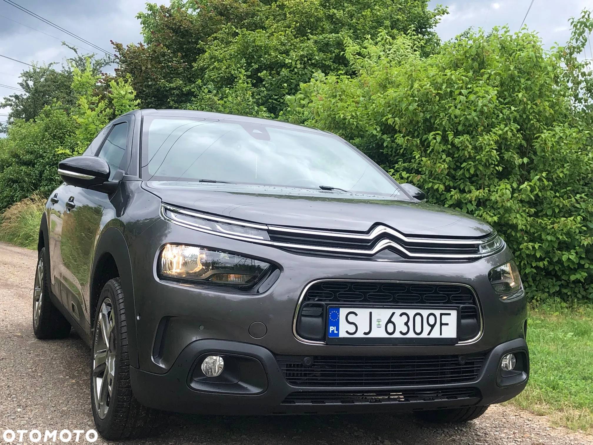 Citroën C4 Cactus BlueHDi 100 Stop&Start Feel Edition - 21