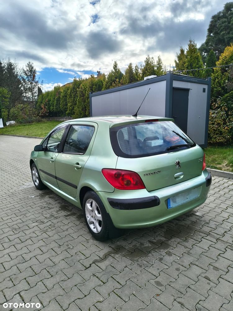 Peugeot 307 - 5