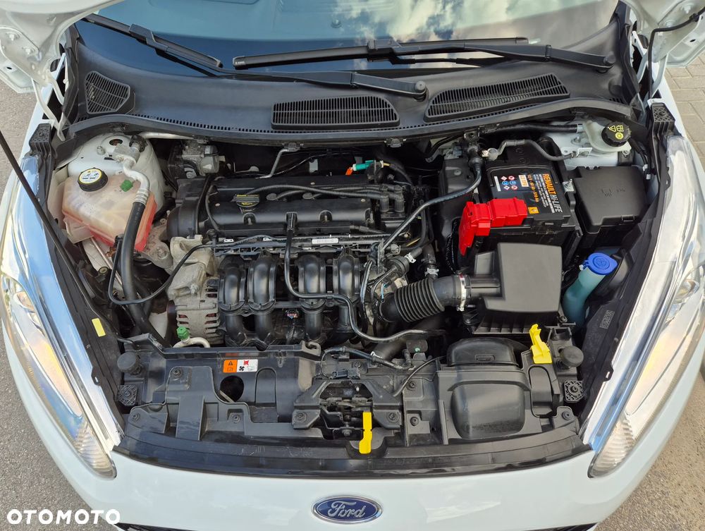 Ford Fiesta 1.25 Trend - 14