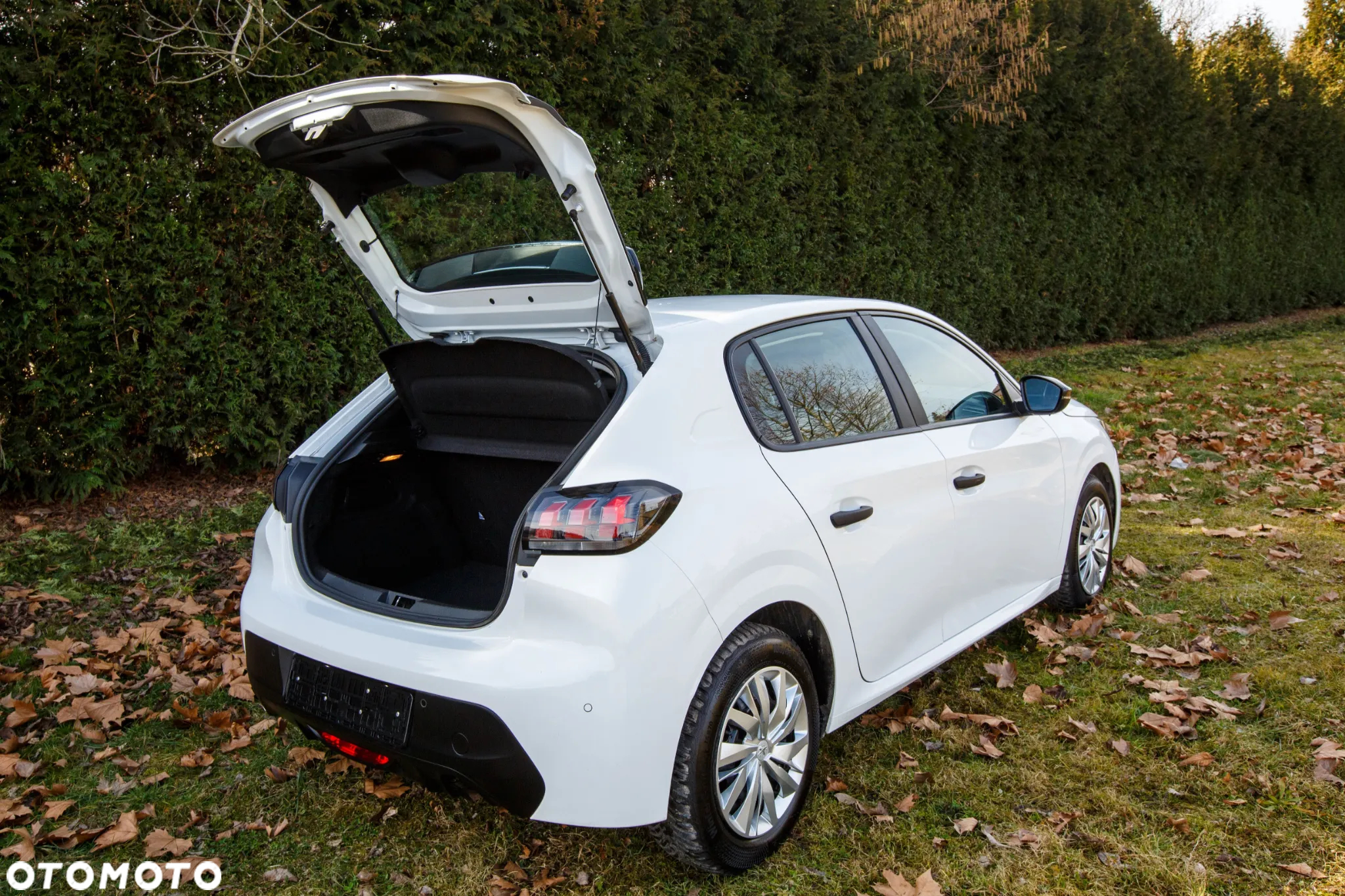 Peugeot 208 1.5 BlueHDi Active S&S - 9