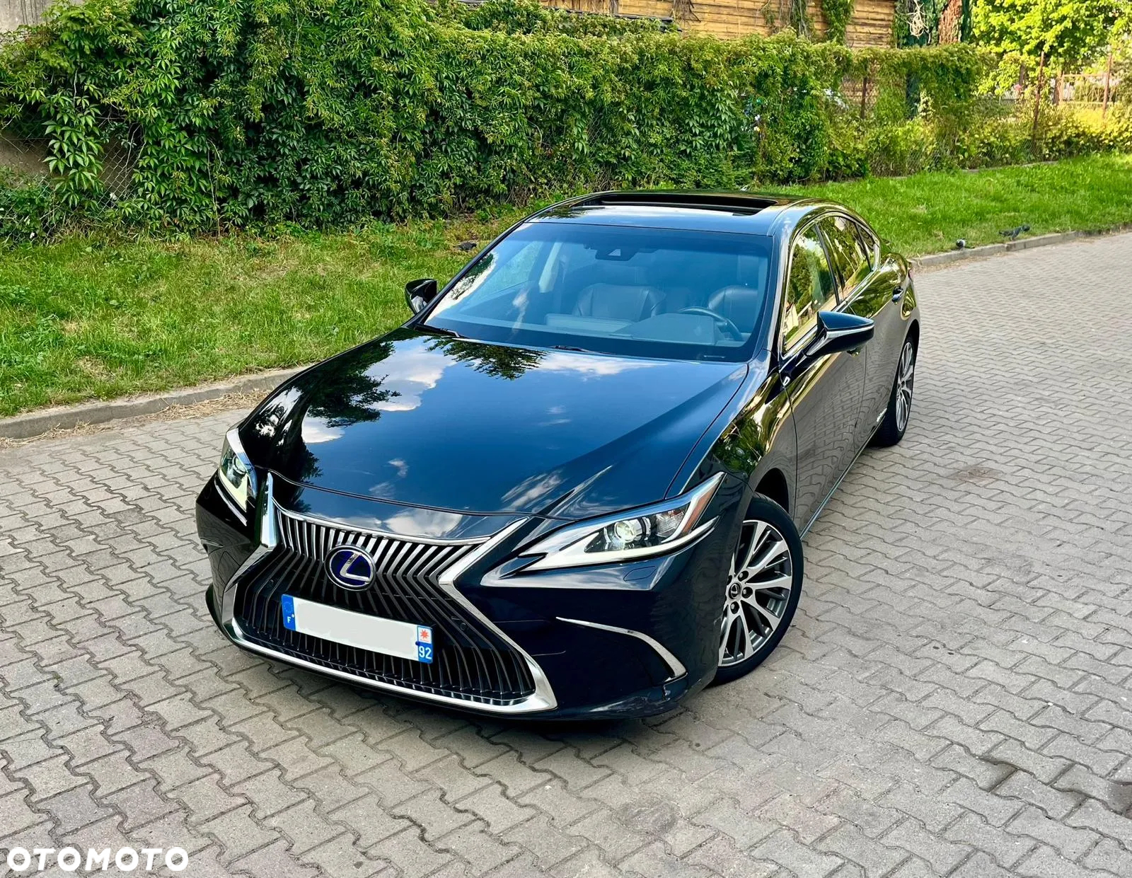 Lexus ES 300h Luxury Line - 3