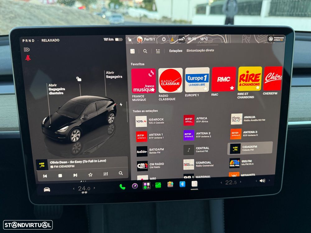 Tesla Model Y Standard - 38