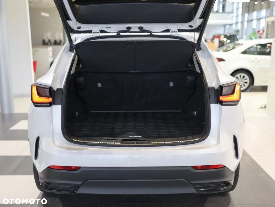 Lexus NX - 6
