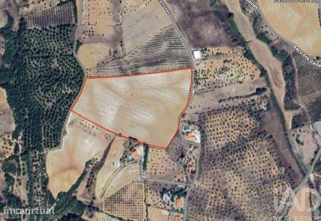 Terreno em Abitureiras - Grande imagem: 2/8