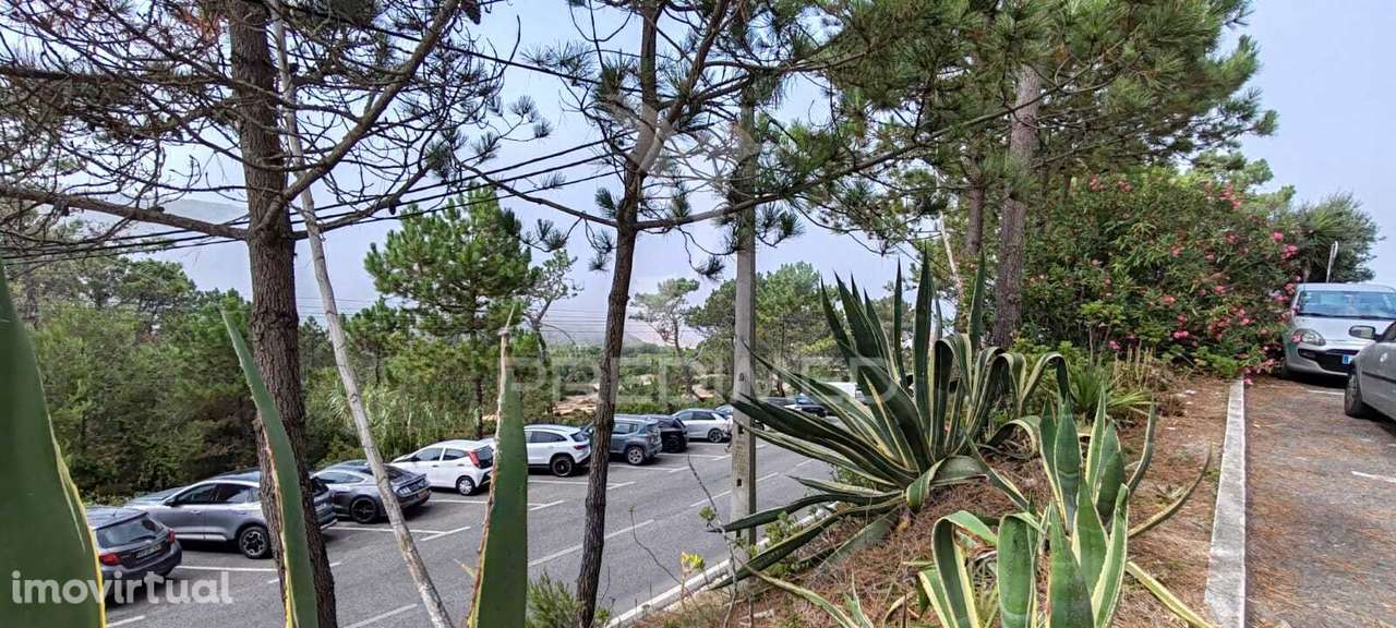 T1 MAGOITO COM VARANDA E PARQUEAMENTO - Grande imagem: 2/35