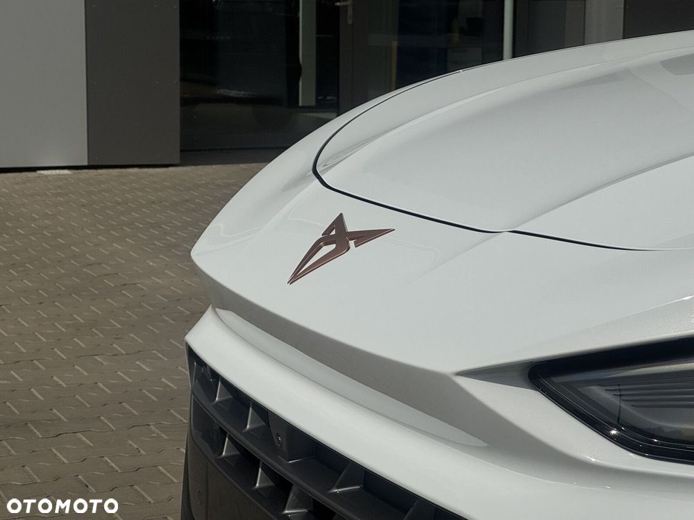 Cupra Terramar - 6