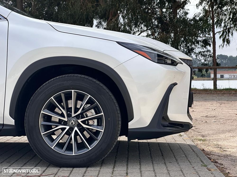Lexus NX 450h+ Executive - 13