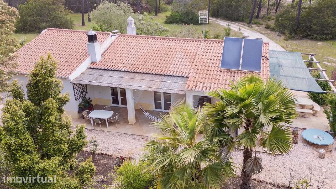 Quinta T3 com 1,8 ha a 15 min da Praia em Zona Tranquila - Grande imagem: 2/19