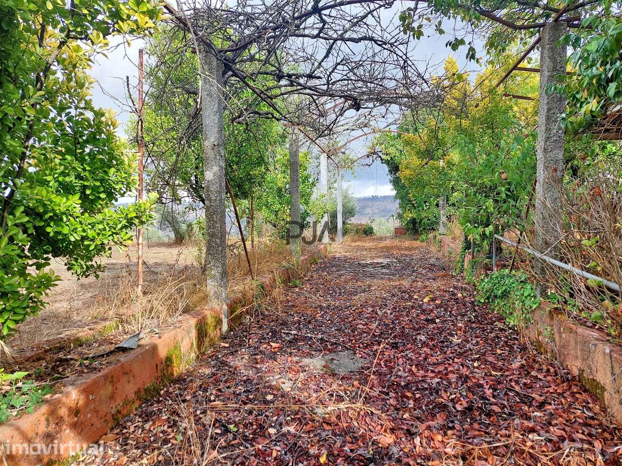 Terreno com Viabilidade de construção em Aldeia de Soito de Vide, Pena - Grande imagem: 3/11