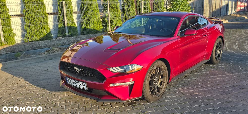 Ford Mustang 2.3 EcoBoost - 2