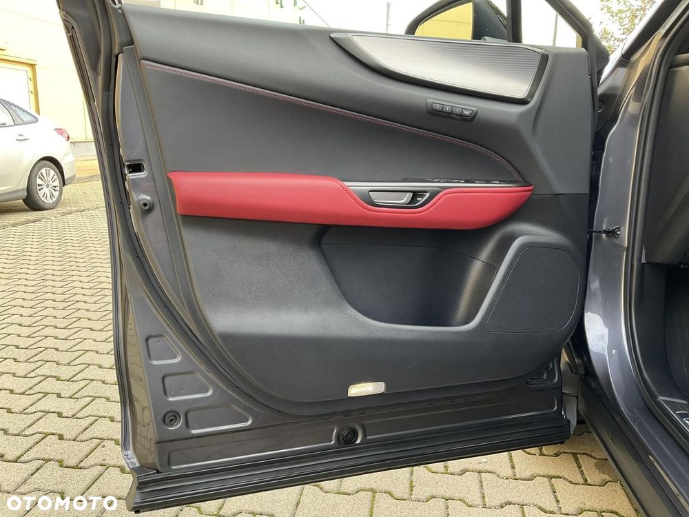 Lexus NX - 26