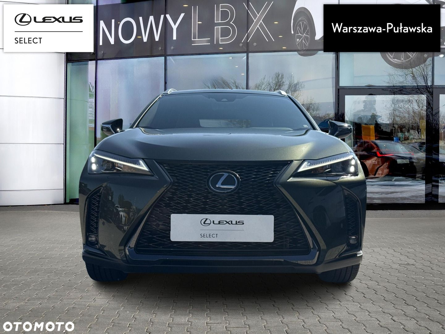 Lexus UX 250h GPF F Sport Design 2WD - 6