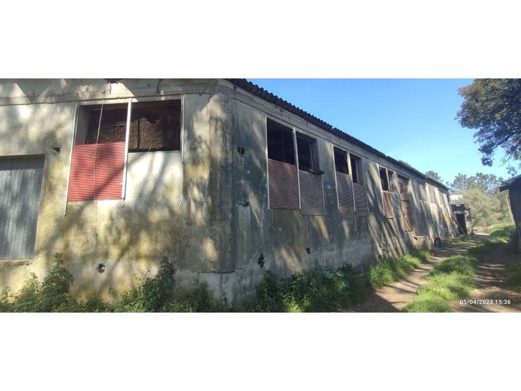 Barracão para aviário e logradouro, bem localizado e com bons acess... - Grande imagem: 5/16