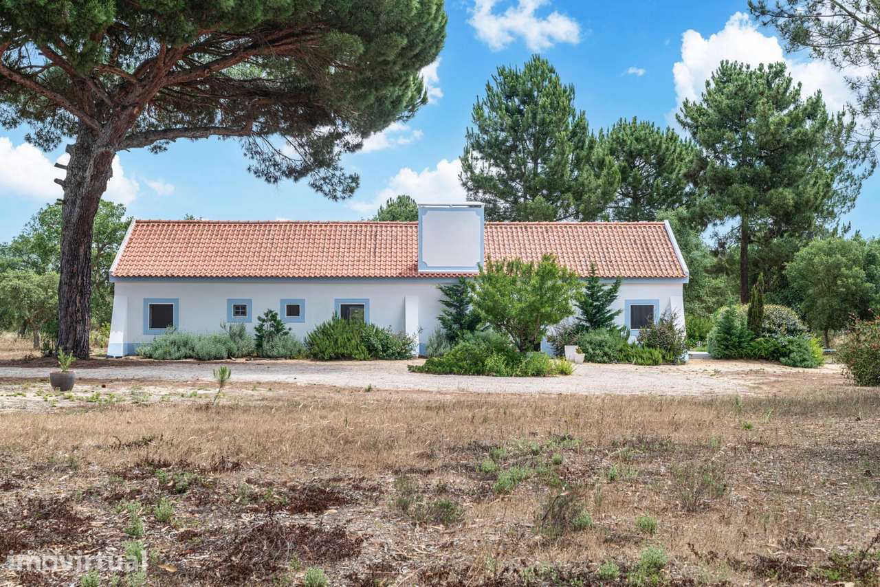 Quinta 4.6 ha, Melides, Grândola - Grande imagem: 3/55