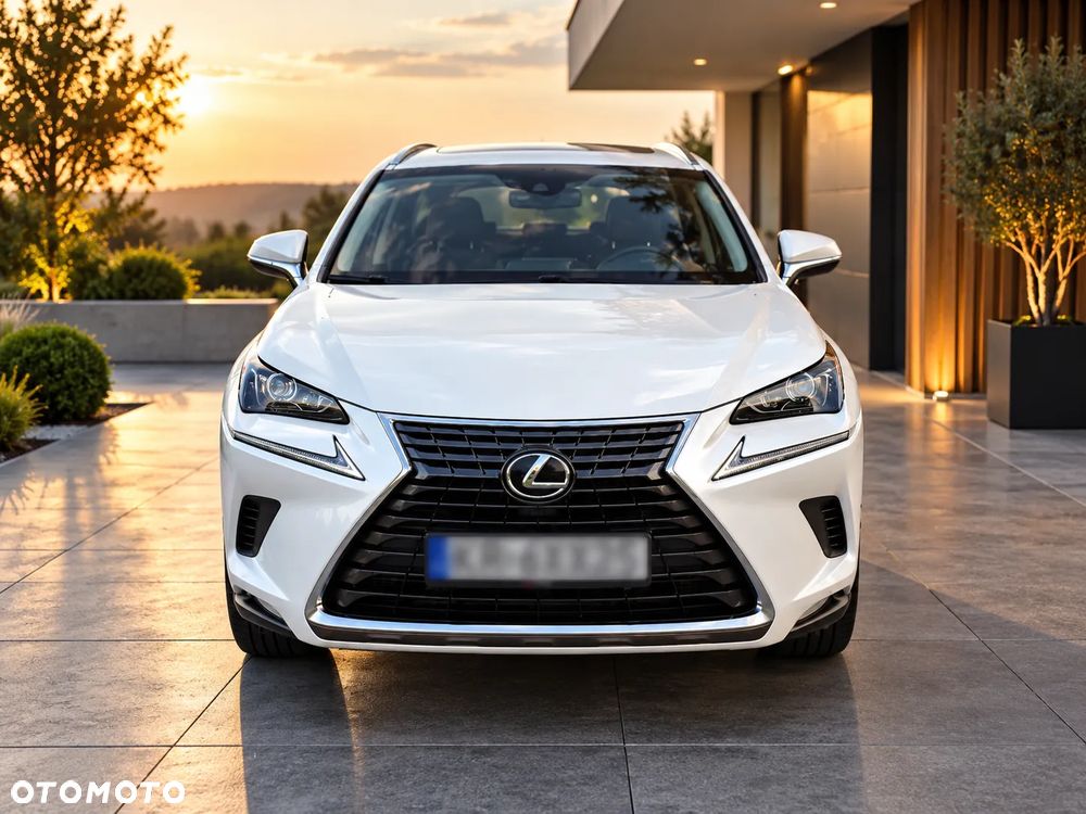 Lexus NX 300 Business Edition AWD - 6