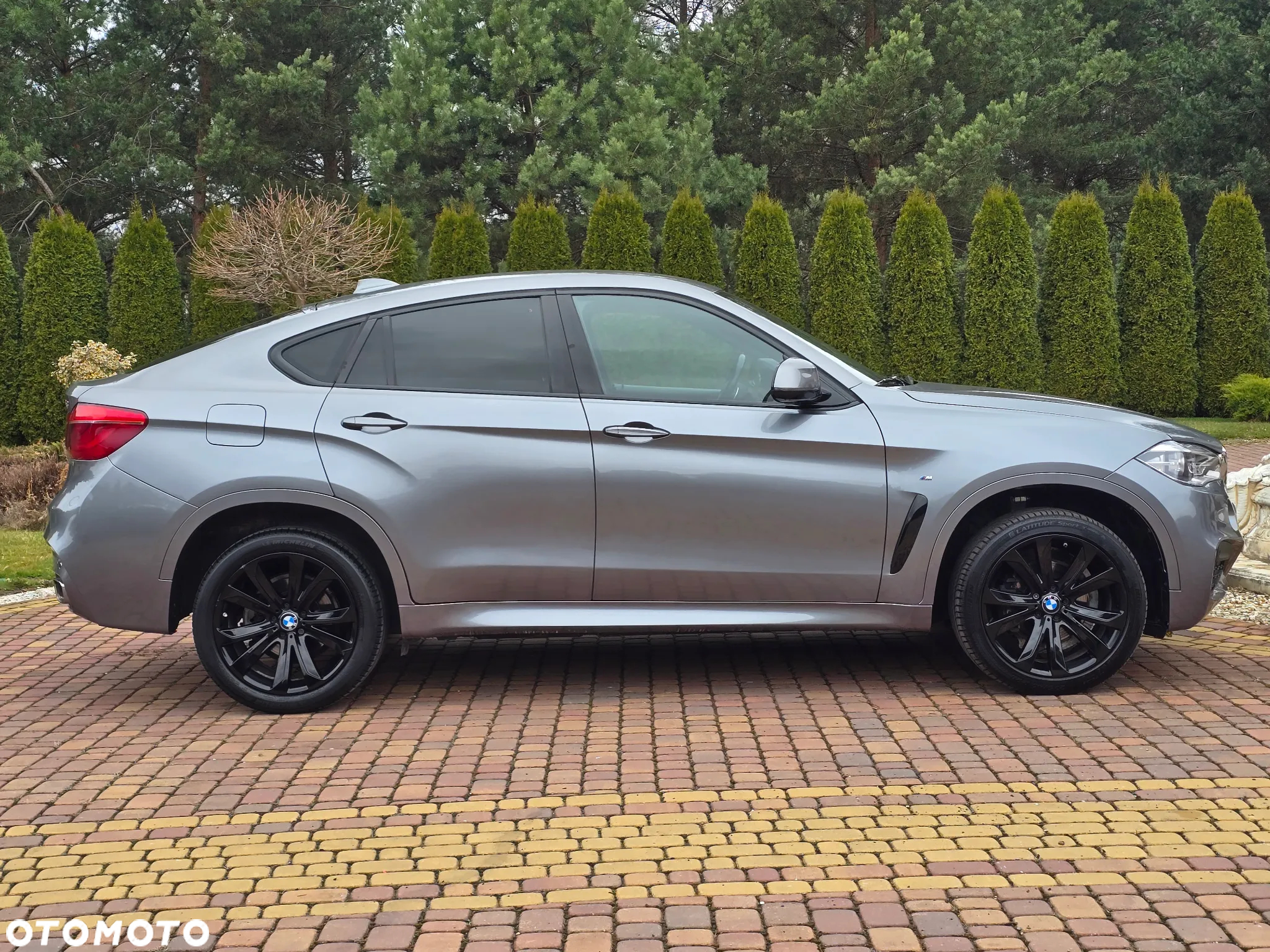 BMW X6 xDrive30d M Sport - 8