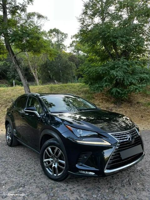 Lexus NX 300h Executive+ - 11
