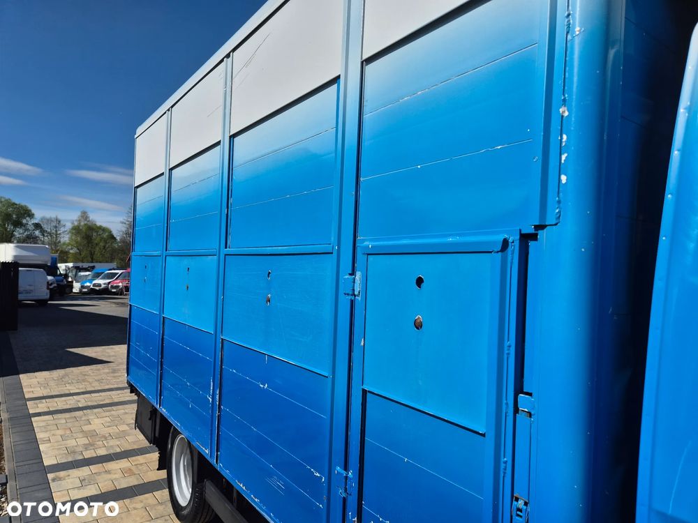 Iveco DAILY 40C18 180KM DO PRZEWOZU ZWIERZAT BYDŁA KONIOWÓZ - 40