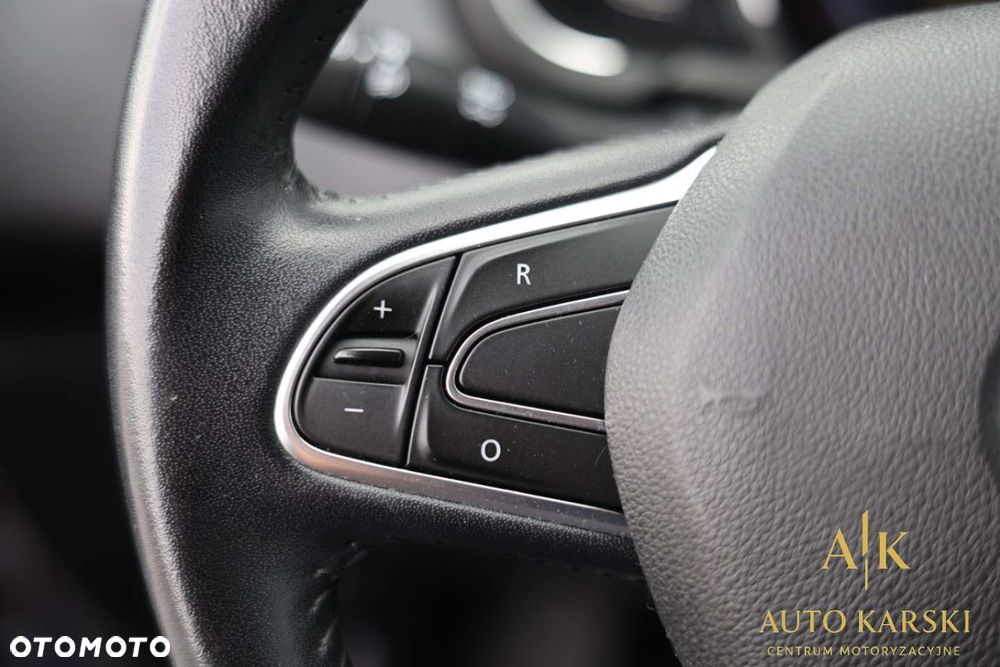 Renault Scenic - 22