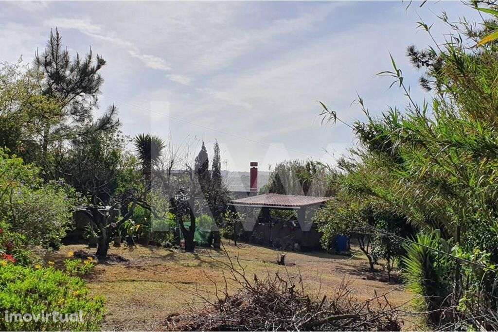 Terreno de 740m2 com Projeto Aprovado para Moradia T4 com piscina em M - Grande imagem: 2/13