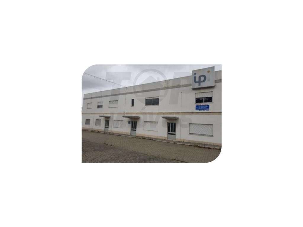 Edifício Industrial - Muge - 1.350.000€ - Grande imagem: 3/20