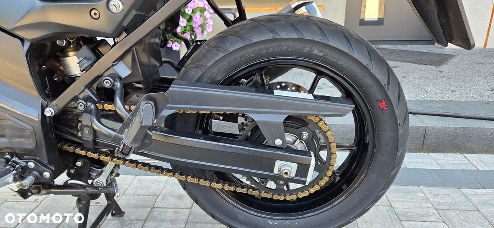 Suzuki V-STROM - 10