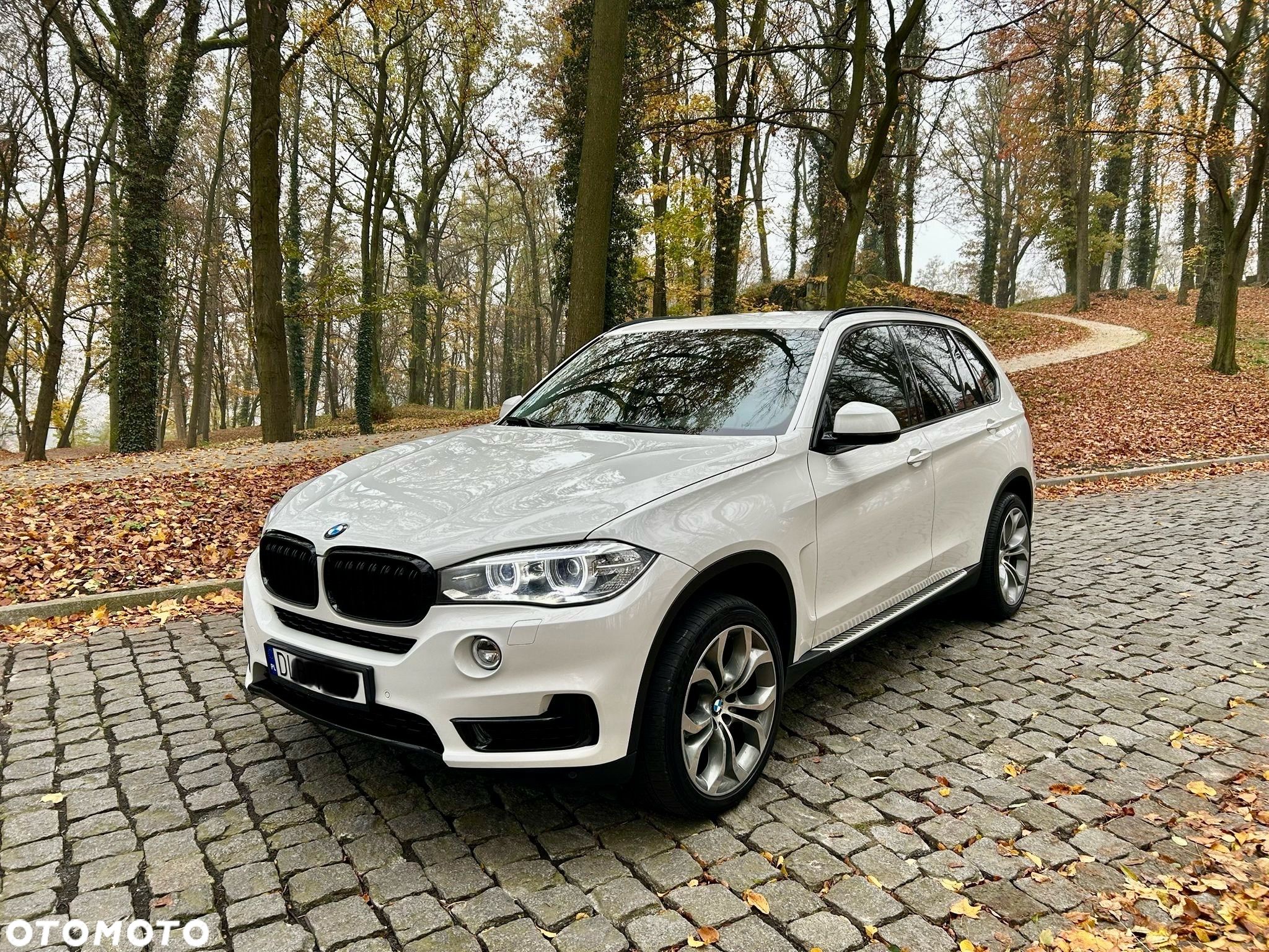 BMW X5 xDrive25d - 1