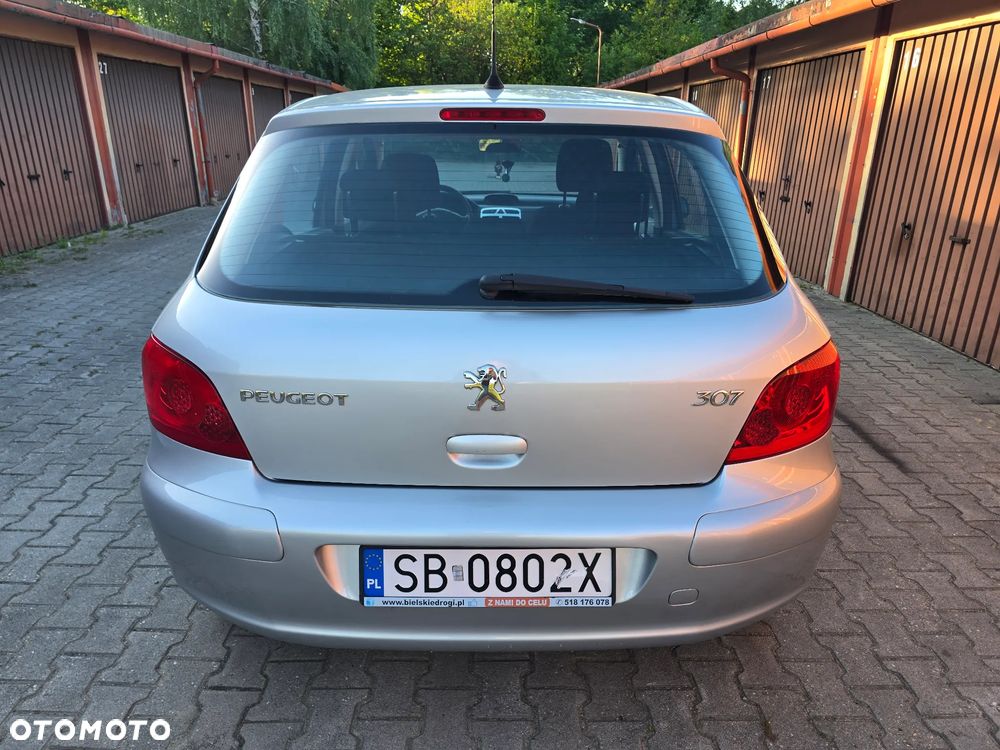 Peugeot 307 1.6 Premium - 10