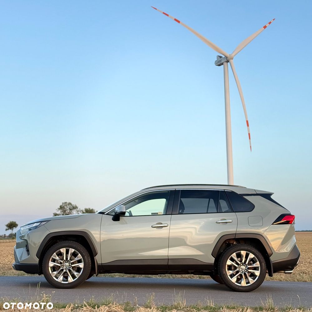Toyota RAV4 2.5 Hybrid Executive 4x2 - 30