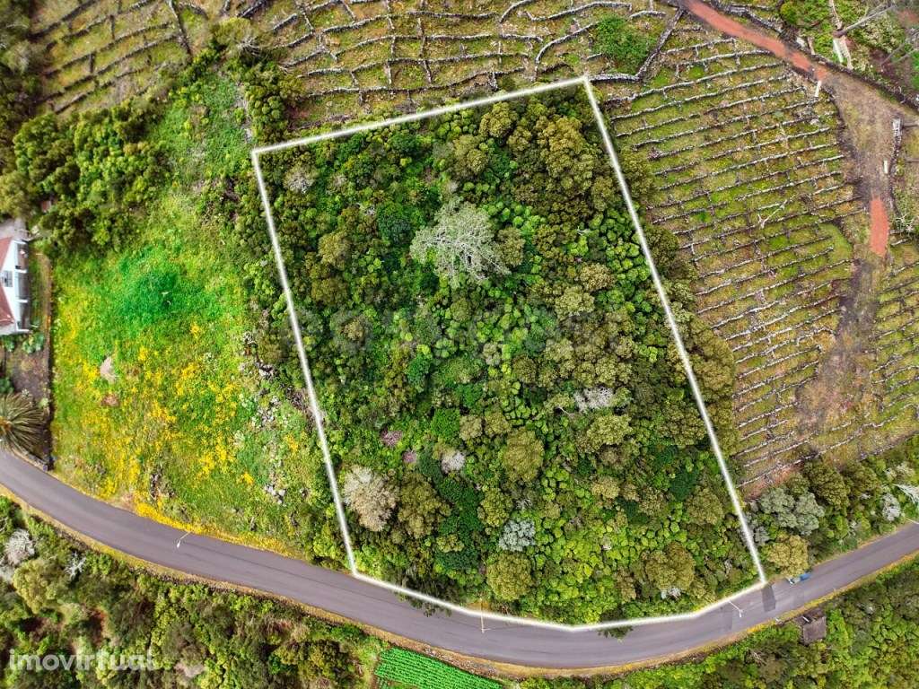 Terreno para construção Bandeiras, Cais do Mourato - Ilha do Pico - Grande imagem: 4/10