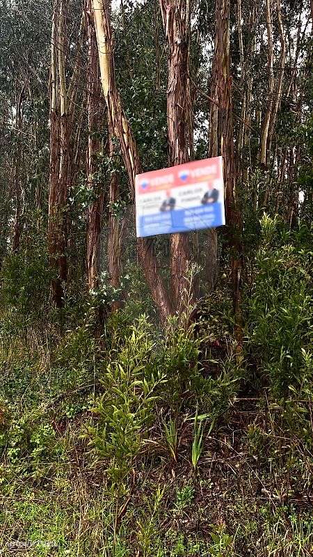 Terreno  para venda - Grande imagem: 2/3