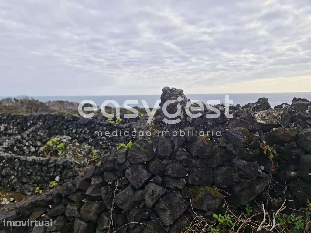 Terreno de vinha junto ao mar na zona da Mirateca na ilha do Pico - Grande imagem: 5/15