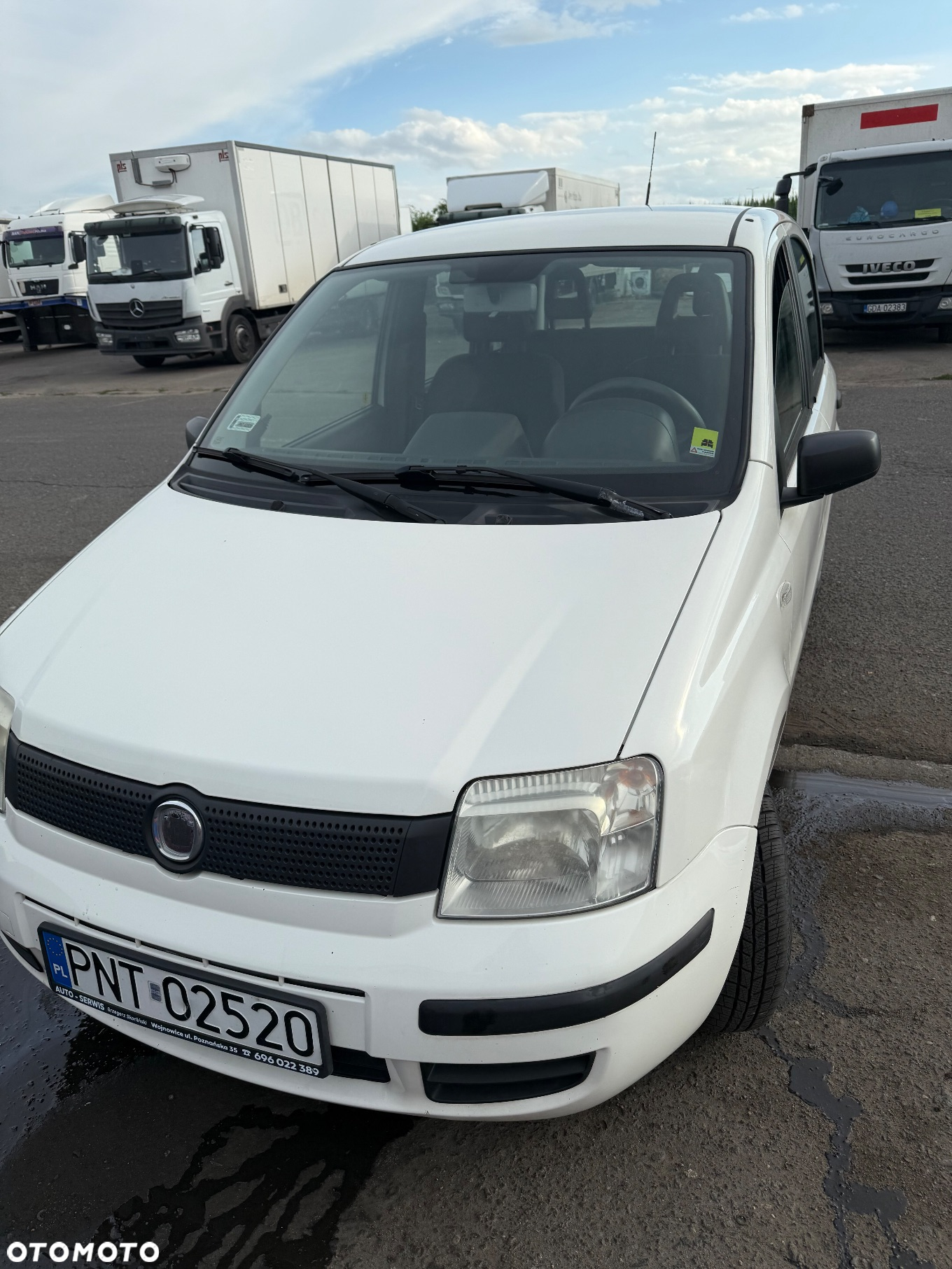 Fiat Panda 1.1 Active Alaska - 2