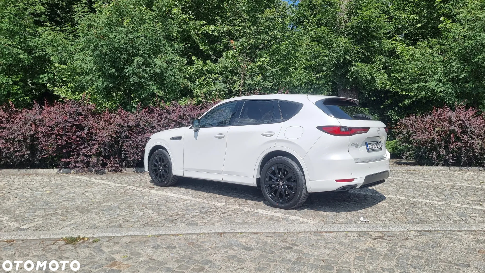 Mazda CX-60 2.5 PHEV Homura AWD - 8