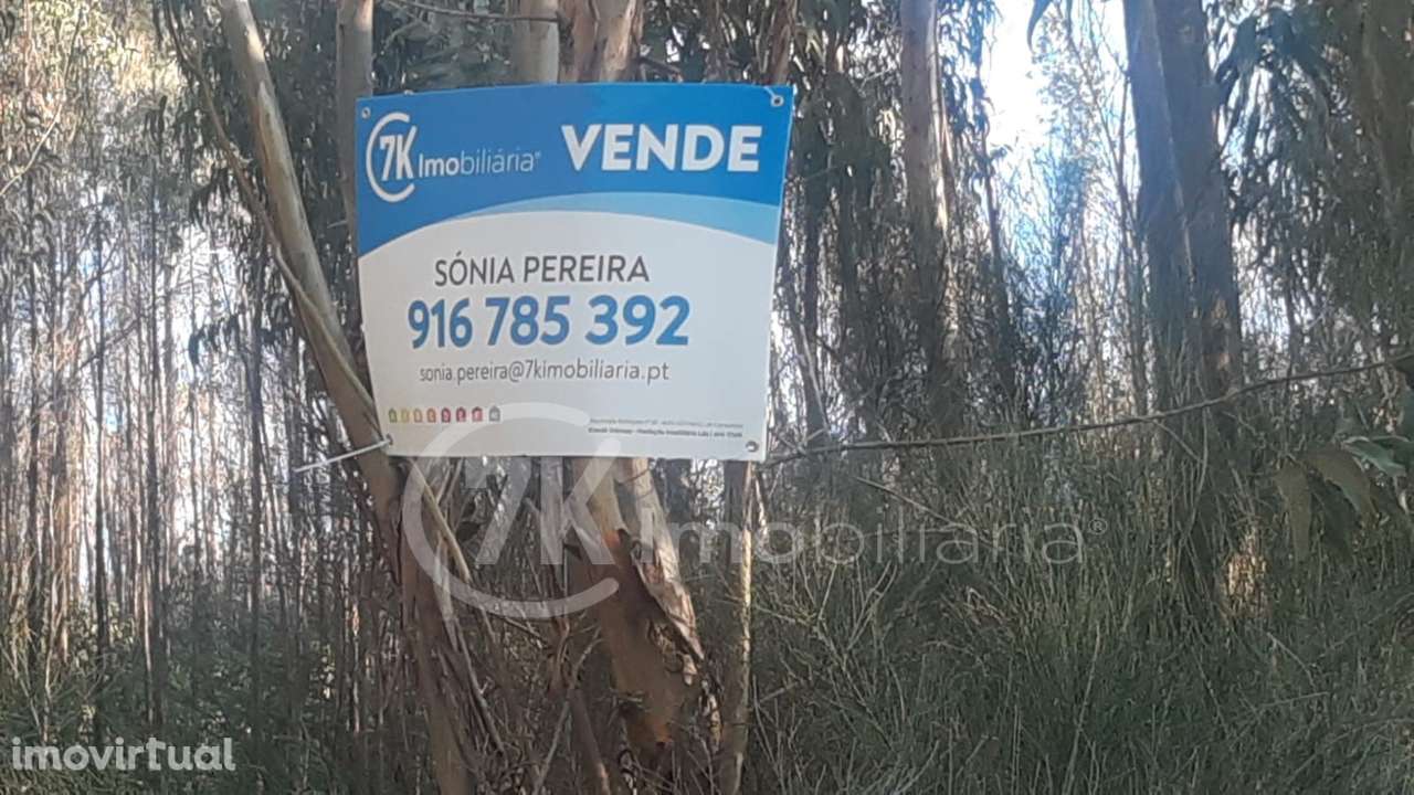 Terreno em Penhalonga - Grande imagem: 3/14