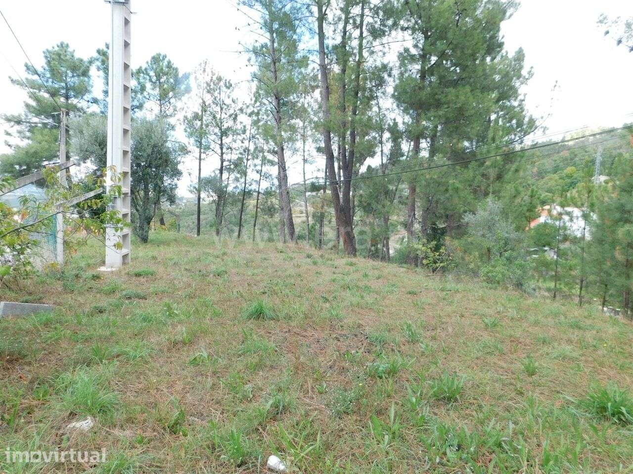 Lote / Seia, Seia, São Romão e Lapa dos Dinheiros - Grande imagem: 5/11