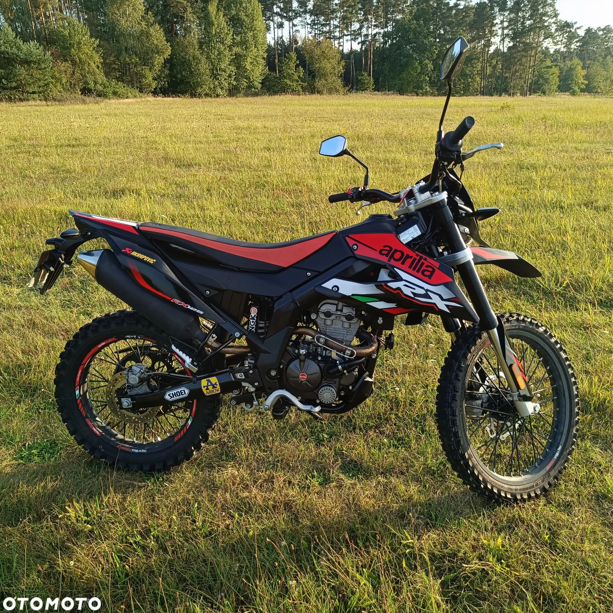 Aprilia RX