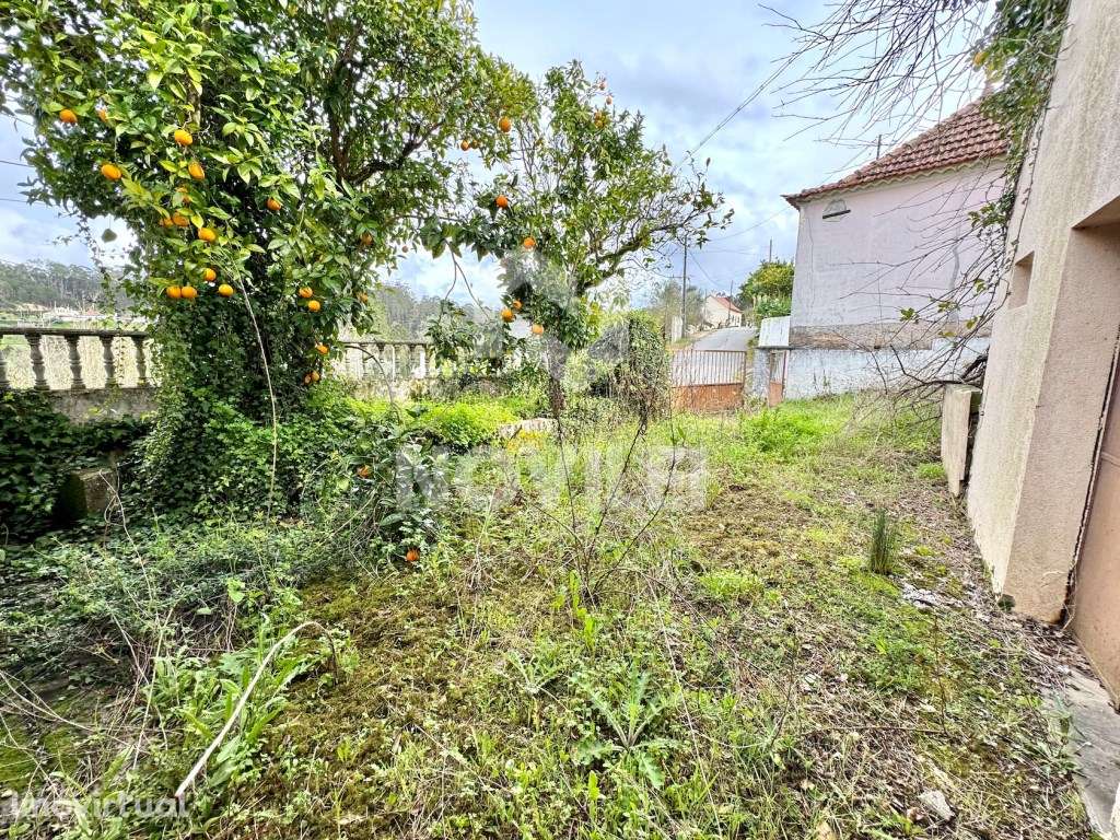 Moradia Isolada T3 e anexos com 485m2 de terreno urbano. - Grande imagem: 4/23