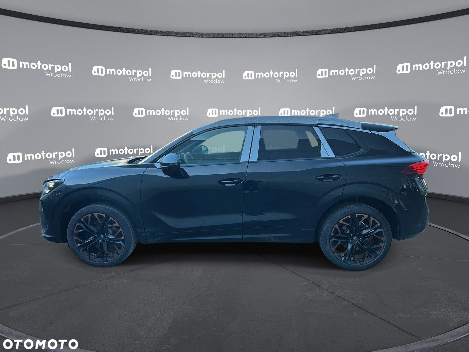 Cupra Terramar - 3