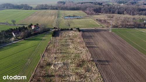Działka budowlana 1231 m2 k.Choczewa -7 km do morza - Pełny obrazek: 3/5