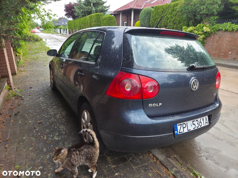 Volkswagen Golf - 16