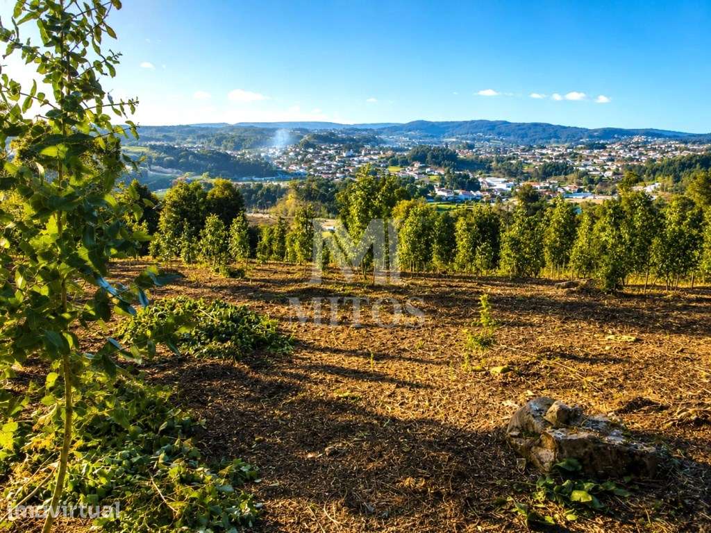 Terreno de construção - Grande imagem: 2/9