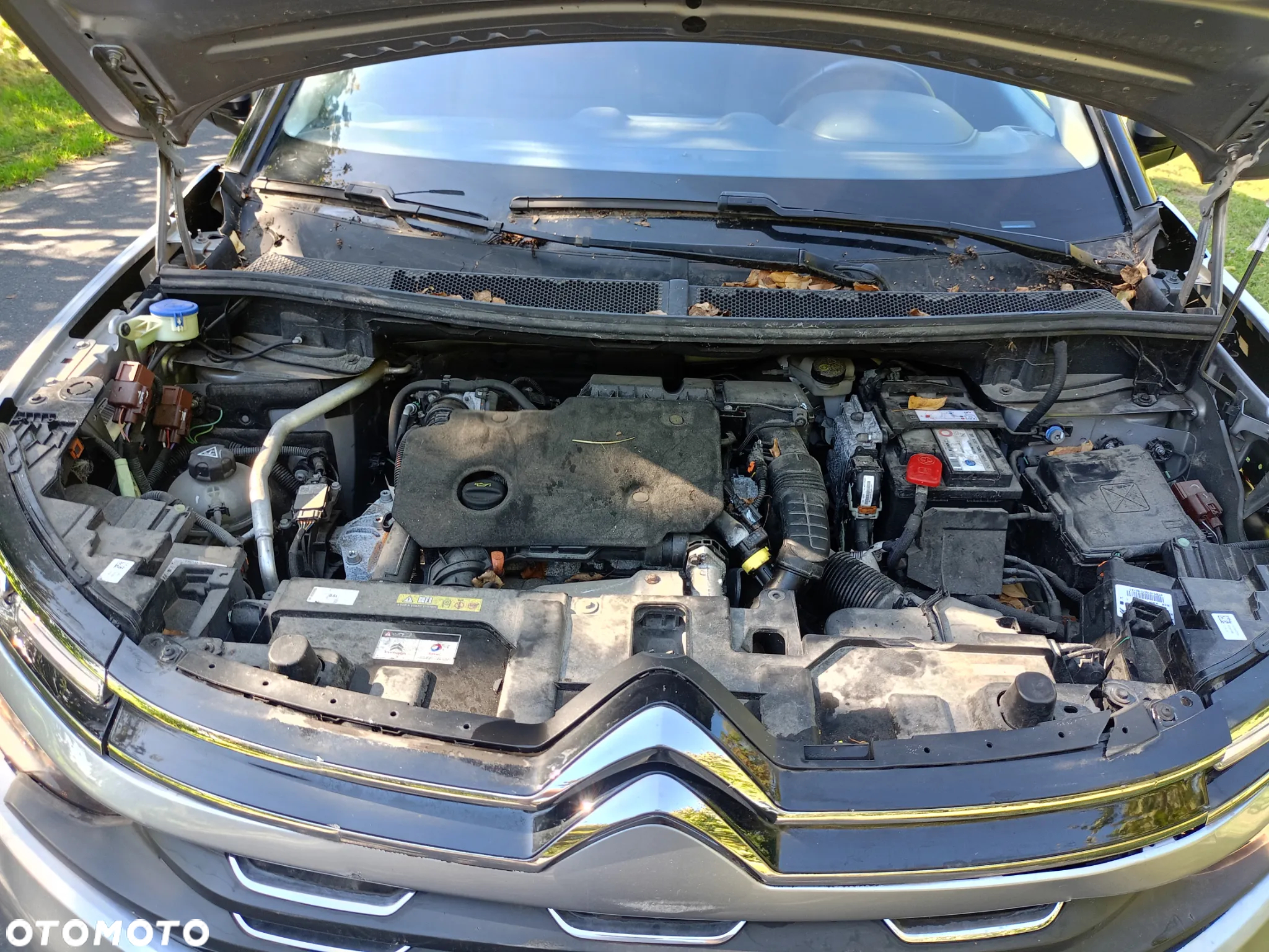 Citroën C5 Aircross BlueHDI 130 S&S EAT8 SHINE - 8