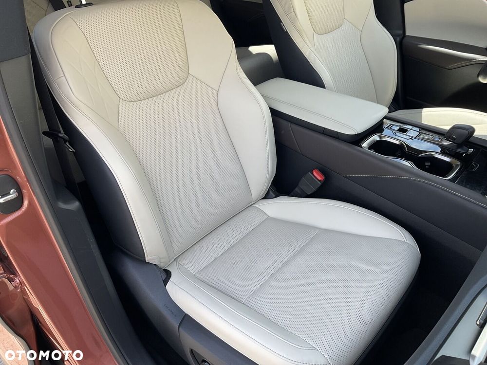 Lexus RX - 20