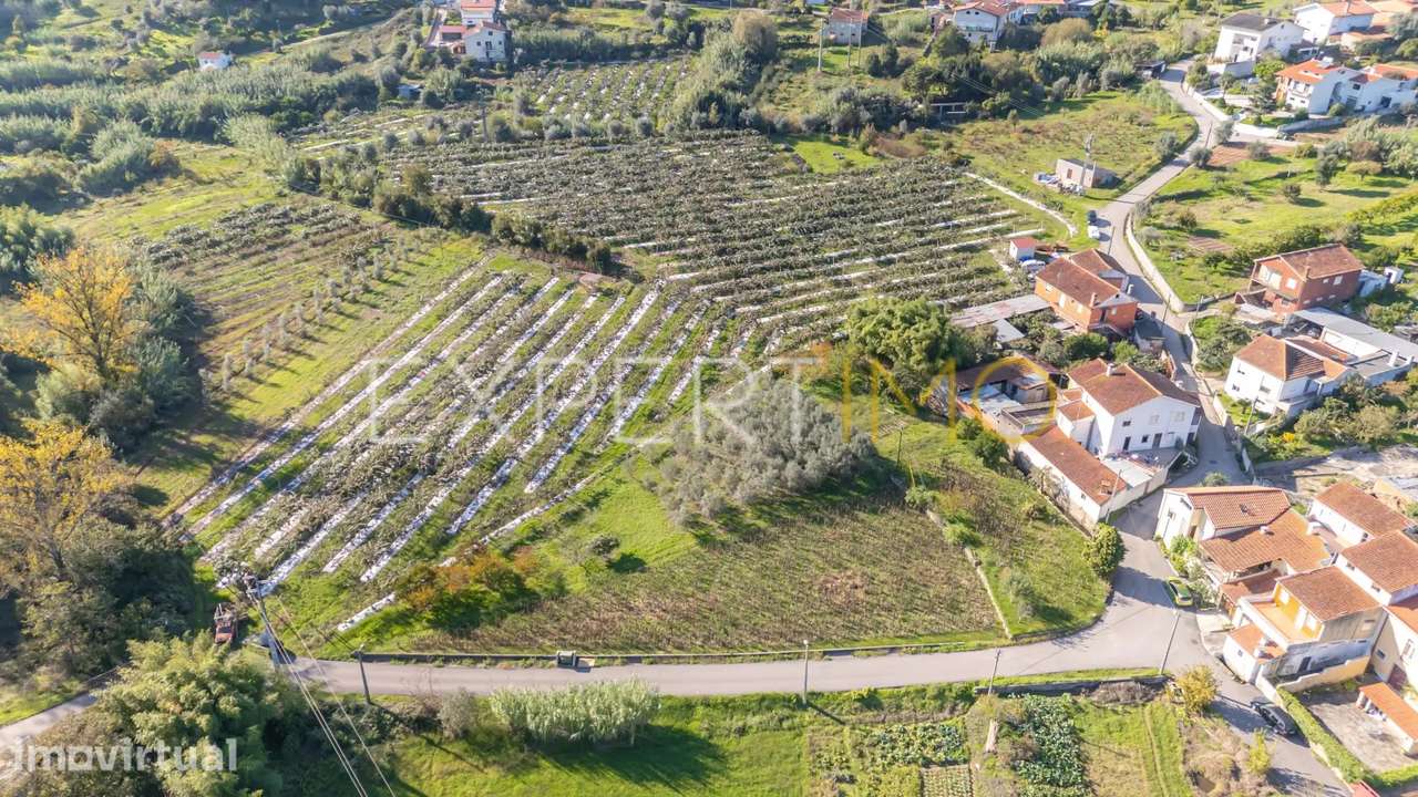 Terreno junto a Ribeiro em Quinta do Colaço (Almalaguês/Coimbra) - Grande imagem: 4/12
