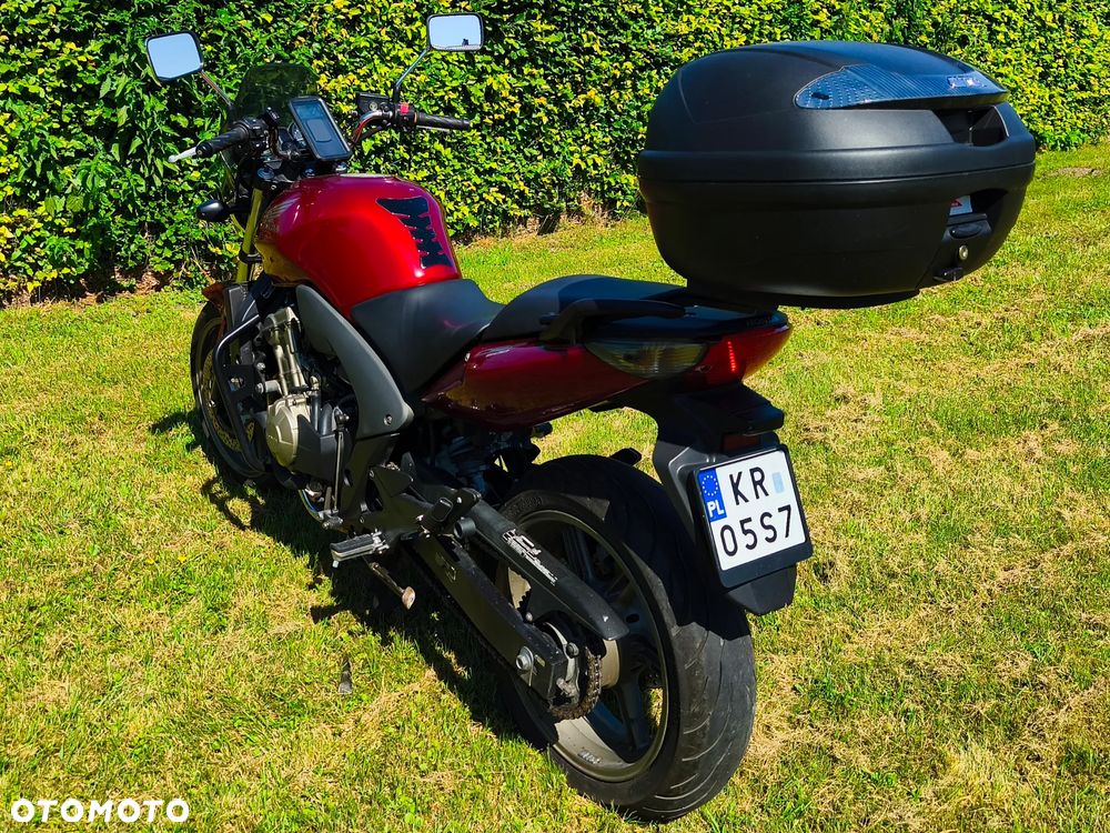 Honda CBF - 3