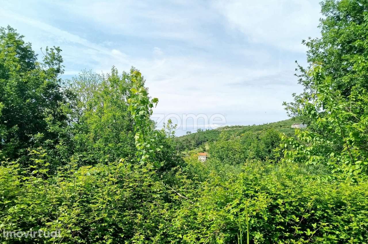 Terreno para venda na Serra da Estrela com ruína para reabilitar - Grande imagem: 4/29