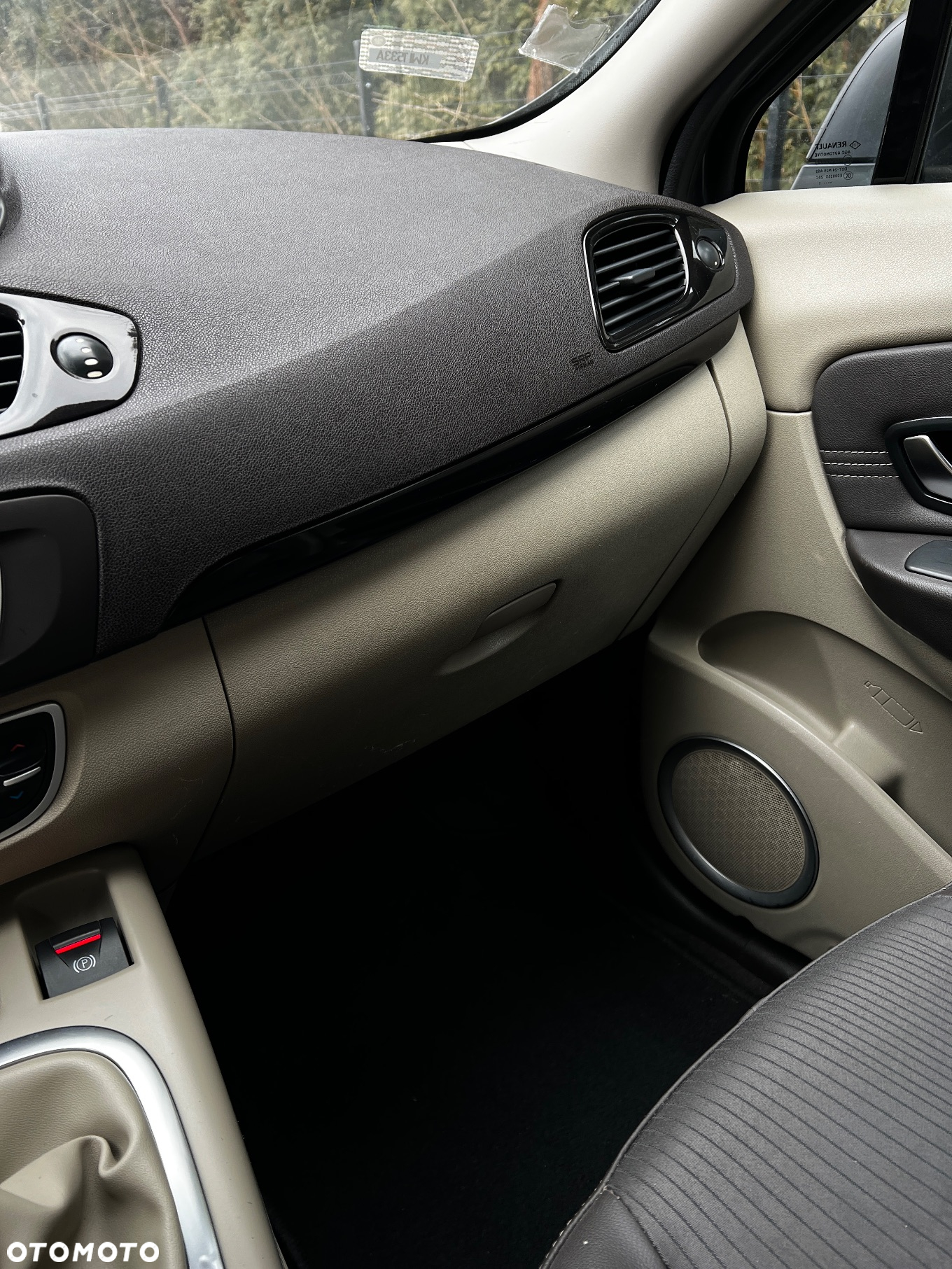 Renault Scenic - 30