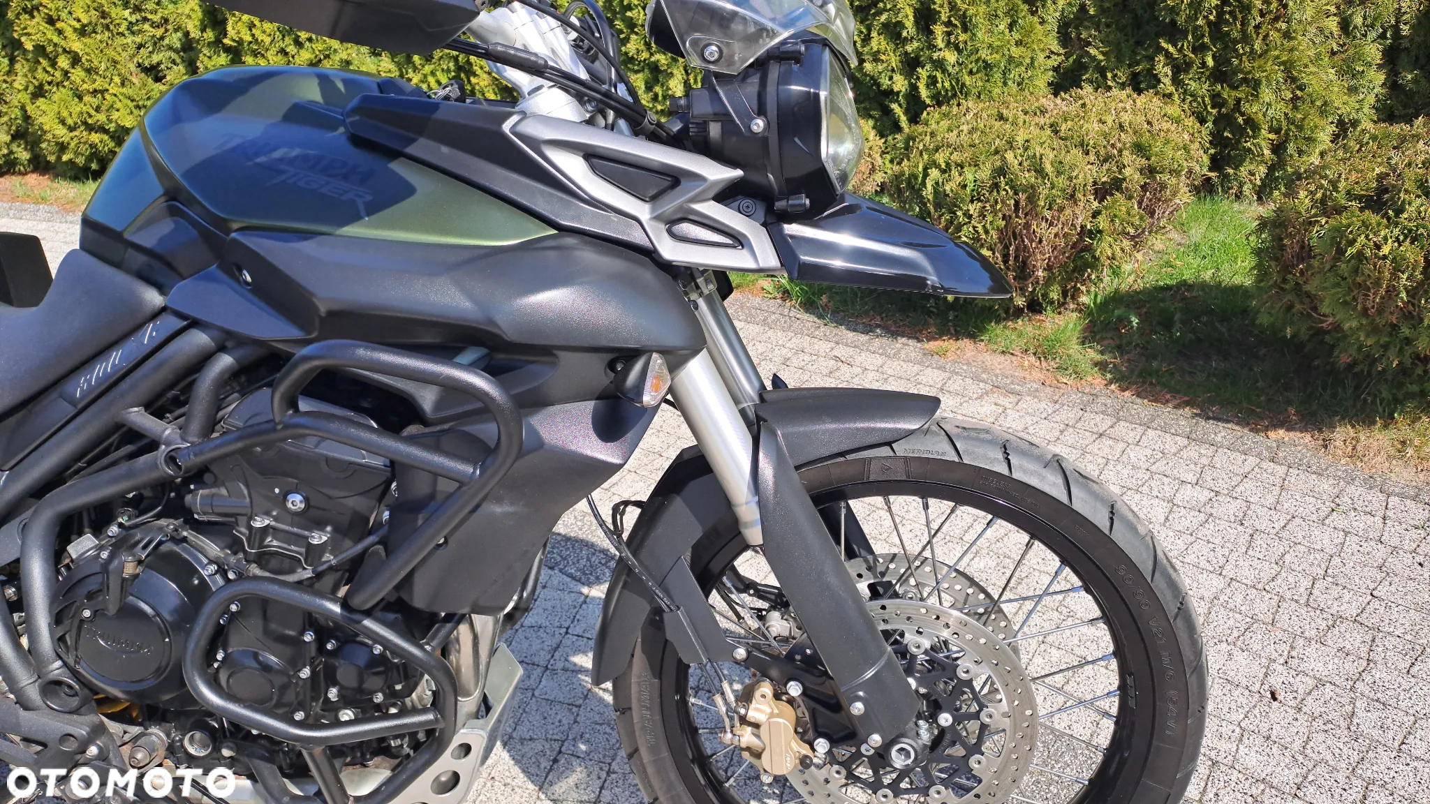 Triumph Tiger - 7